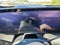 2026 Buick Enclave 4dr Avenir